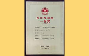 四川省专利一等奖